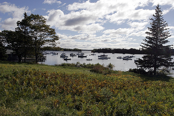 Friendship Harbor, Maine