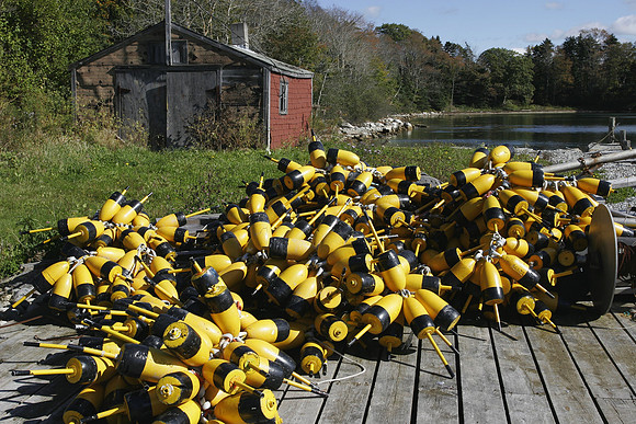 Friendship, Maine Wharf