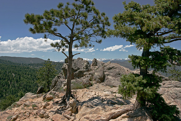 Rocky Mountain National Park