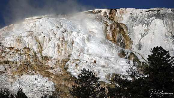 Mammoth Hot Springs, Yellowstone NP