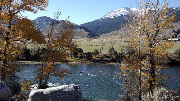 Landscape along Yellowstone River